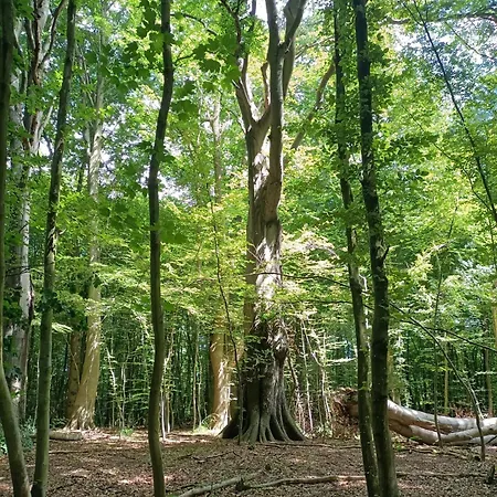 Promienna 7 Apartmán Kolobřeh