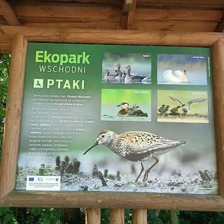 アパート Promienna 7