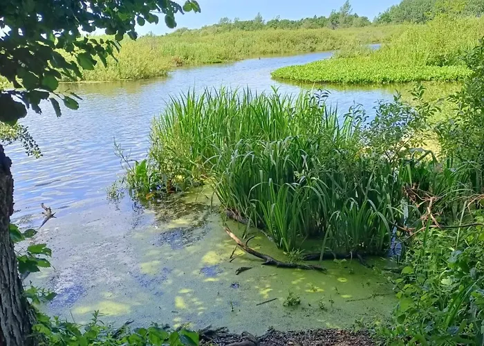 アパート Promienna 7 コウォブジェク