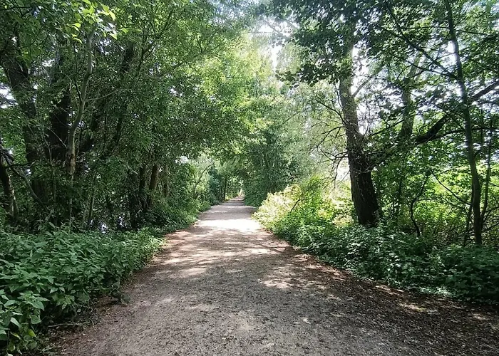 アパート Promienna 7 コウォブジェク