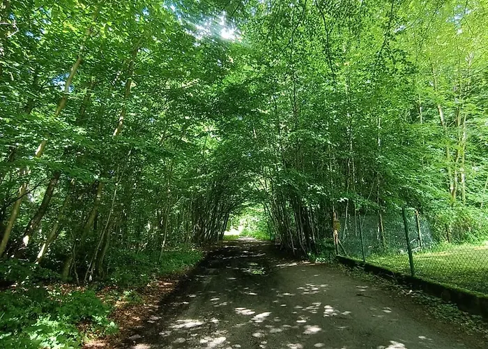 アパート Promienna 7 コウォブジェク